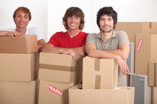 Careful packing of fragile household items for relocation