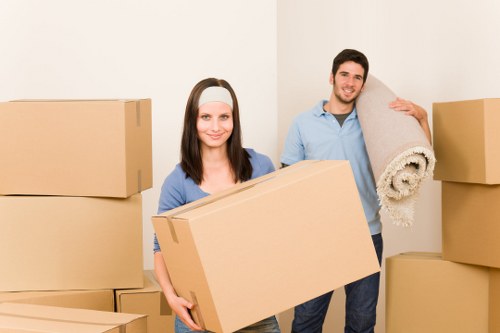 Risk assessment and safety planning for a removal job